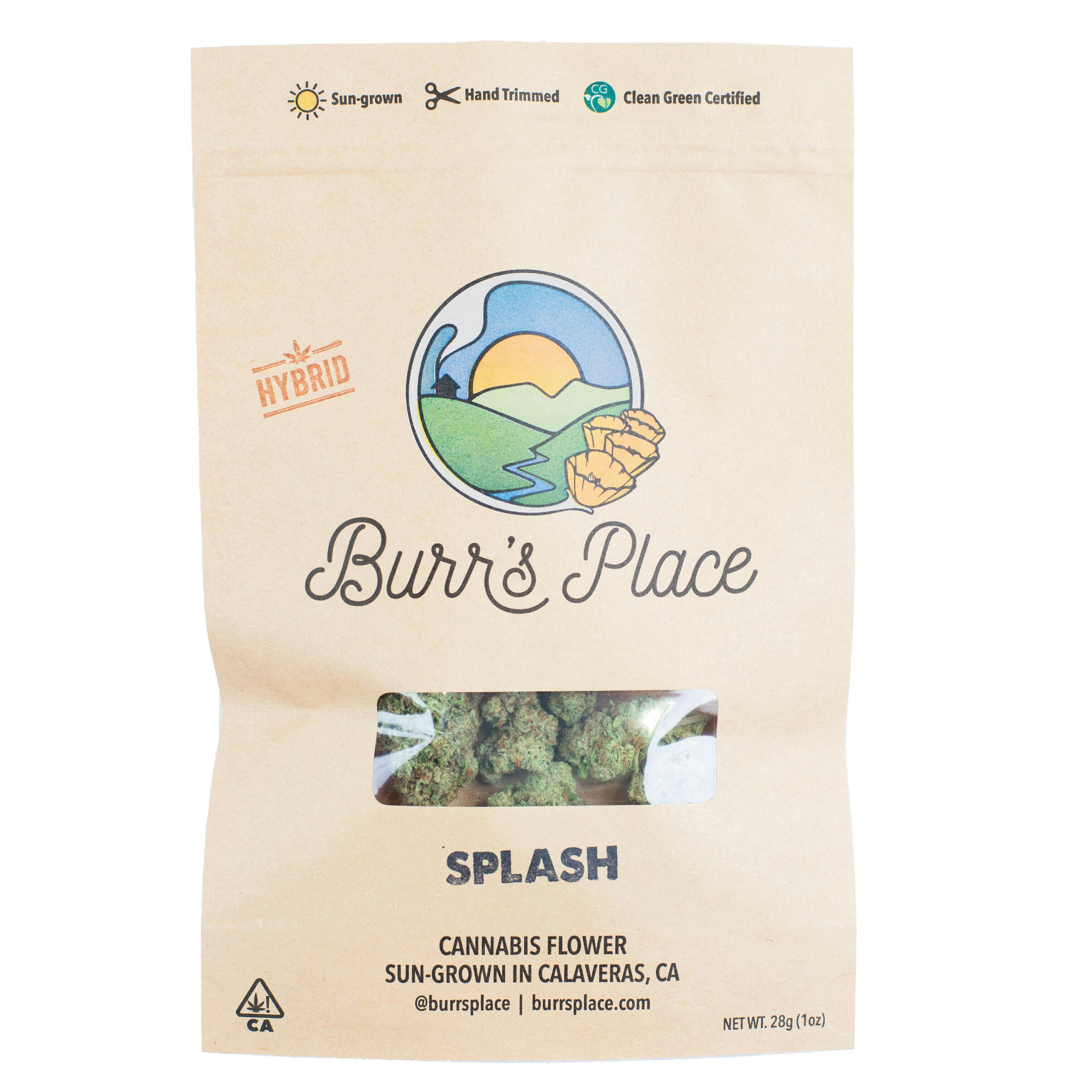 Burr's Place - Burr’s Place | Splash | Big Buds | 28g - 1