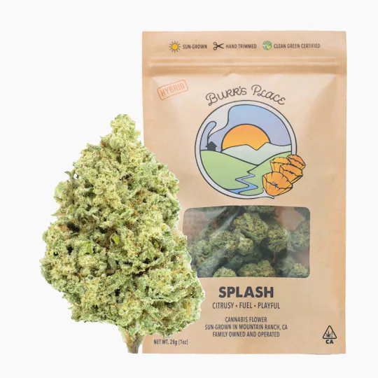 Burr's Place - Splash | Big Buds | 28g - 1