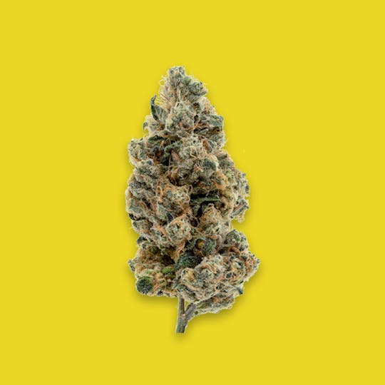 Cherry Kola Farms - BANANA KOLA KOLA KONES INFUSED - 1