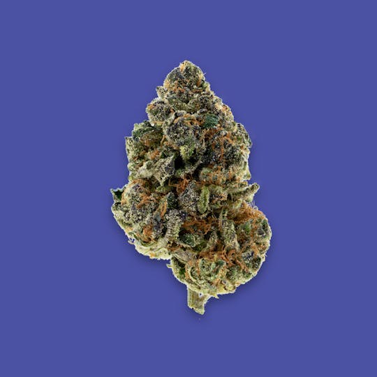 Cherry Kola Farms - BLUEBERRY KOLA RESERVE FLOWER EIGHTH - 1
