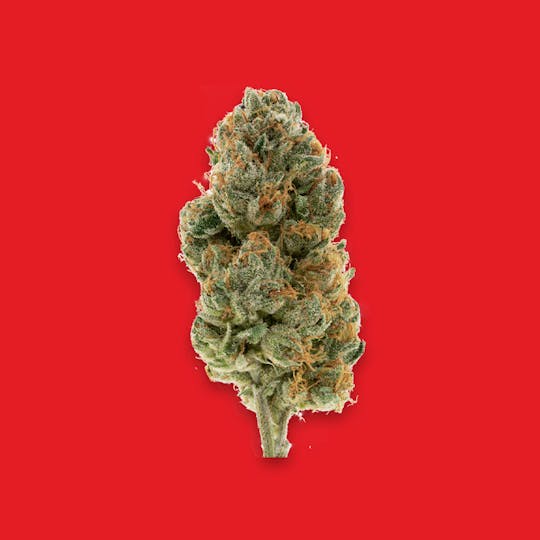 Cherry Kola Farms - CHERRY KOLA RESERVE FLOWER QUARTER - 1