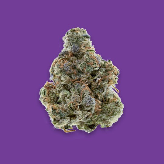 Cherry Kola Farms - GRAPE KOLA RESERVE FLOWER GRAM - 1