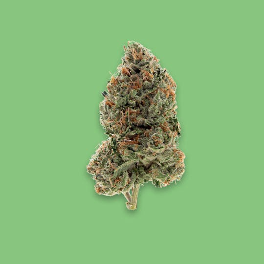 Cherry Kola Farms - KOLA MINTZ KOLA KONES INFUSED - 1