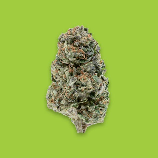 Cherry Kola Farms - SOUR OG KOLA RESERVE FLOWER GRAM - 1