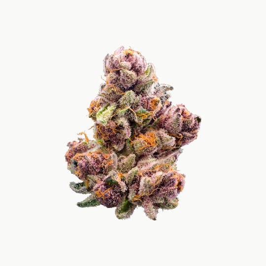 XOTX - Tropicana Cherry Cookies 7G - 1