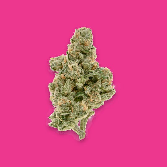 Cherry Kola Farms - STRAWBERRY KOLA KOLA KONES - 1