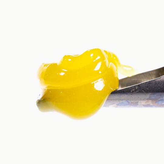 West Coast Cure - Bop Gun Live Rosin Jam - Tier 2 - 1