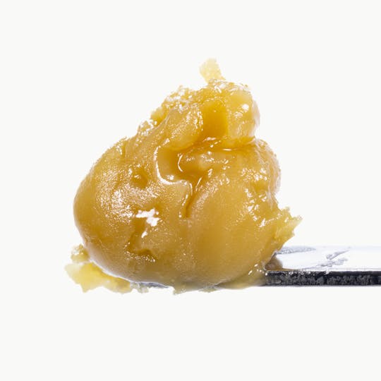 West Coast Cure - Grape Pie Hoe Live Rosin Cold Cure Badder - Tier 3 - 1