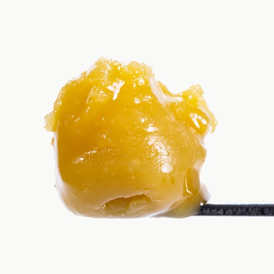 West Coast Cure - Dosi Gelpaya #3 Live Rosin Cold Cure Badder - Tier 2 - 1