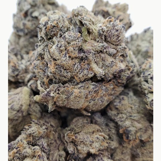 World Class Cannabis - Peyote Cookies - 1
