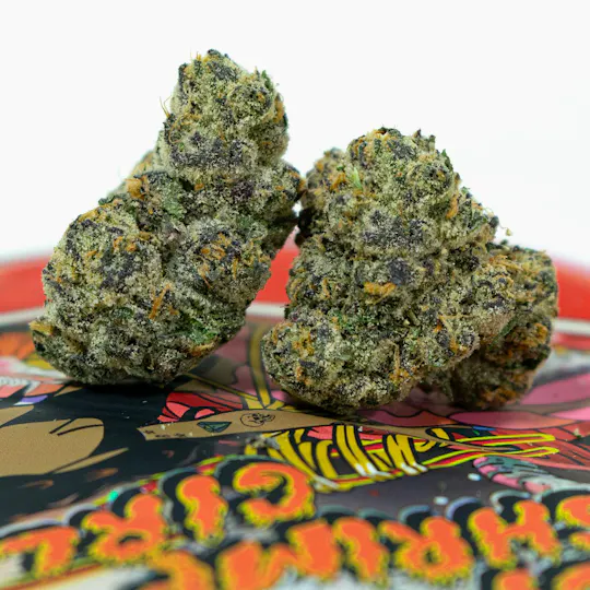 TEDS BUDZ - Teds Budz | Spicy Shrimp Girl | 3.5g - 1