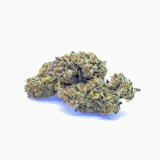 Humboldt Spirit Inc - Cheetah Piss - 1