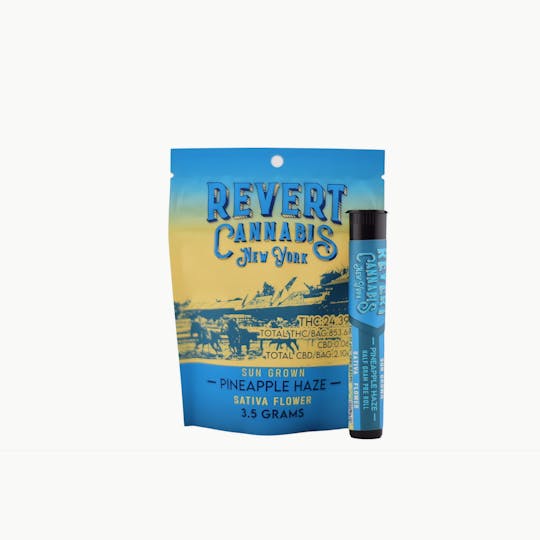 Revert - Pineapple Haze Preroll 0.5g - 1