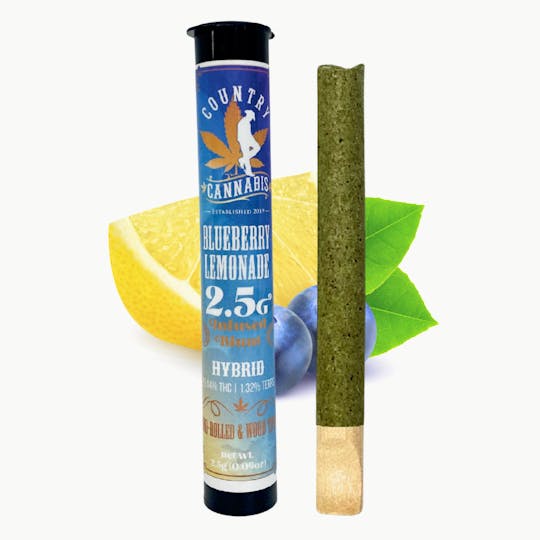 Country Cannabis - Blueberry Lemonade | Infused Blunt | 2.5G - 1