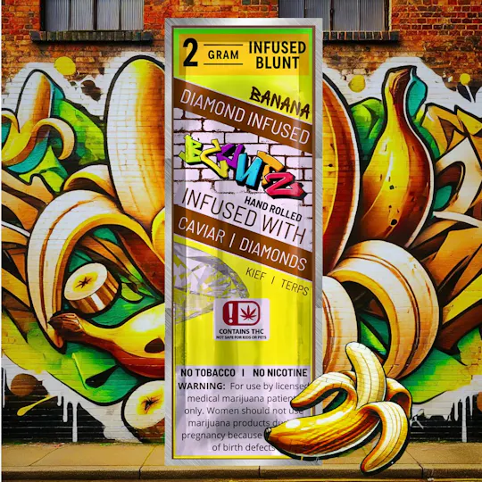 Rex's Remedies - Rex's Remedies | Banana | Infused Blunt | 2G - 1