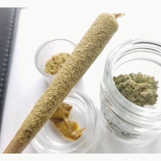 Rex's Remedies - Apple Fritter | Rosin Roll | 1G - 1