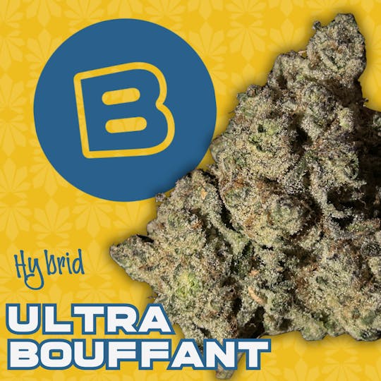 Buckeye - Ultra Bouffant | Flower | 14.15 Smalls - 1