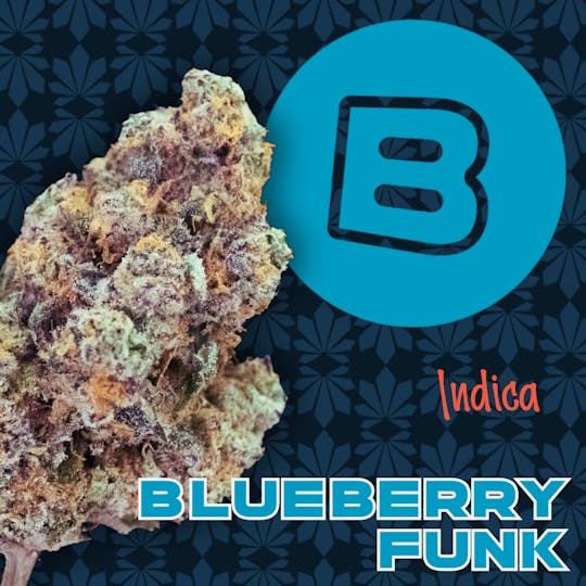 Buckeye - Blueberry Funk | Flower | 14.15 Smalls - 1