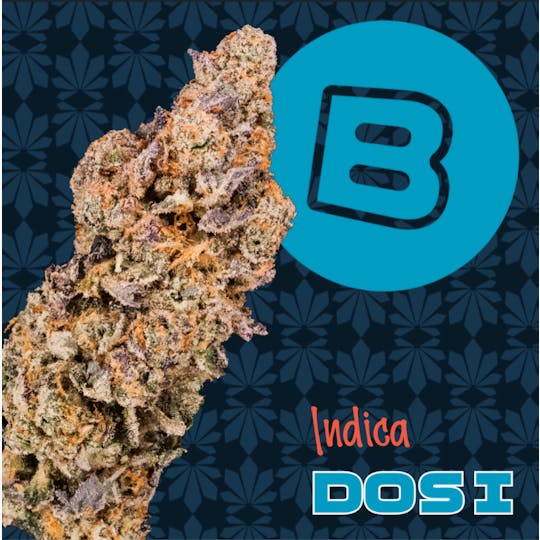 Buckeye - Dosidos | Flower | 14.15g - 1