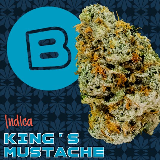 Buckeye - King's Mustache | Flower | 14.15 Smalls - 1
