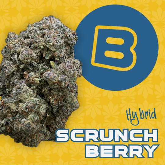 Buckeye - Scrunch Berry | Flower | 14.15 Smalls - 1