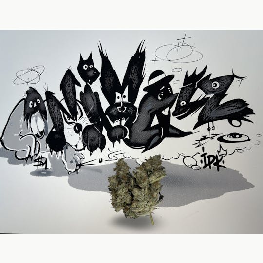 Indico - Animalz - IPK - 1