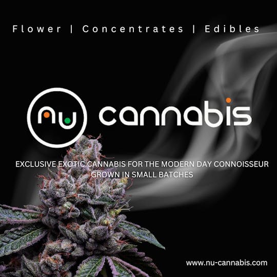 Nu Cannabis Brand - NuCannabis - Jelly Rancher 1g - UZO DISPOSABLE - 1
