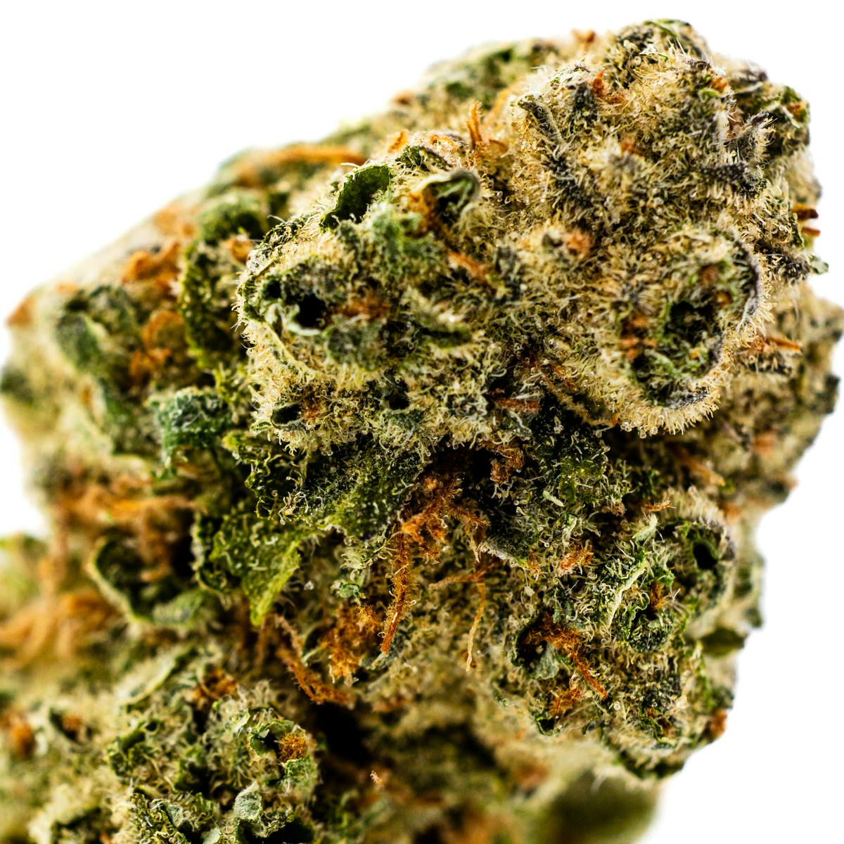 BANANA DIESEL (14 GRAMS) - Dank By Definition