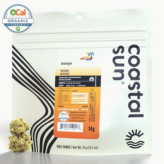 Coastal Sun - Banjo Greenhouse Flower 14g - 1