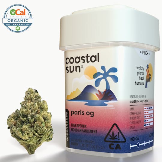 Coastal Sun - Animal Mints Greenhouse Flower 3.5g - 1