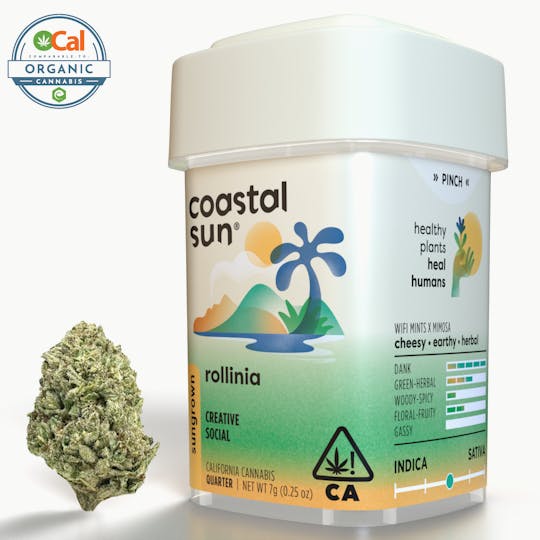 Coastal Sun - Rollinia Sungrown Flower 7g - 1