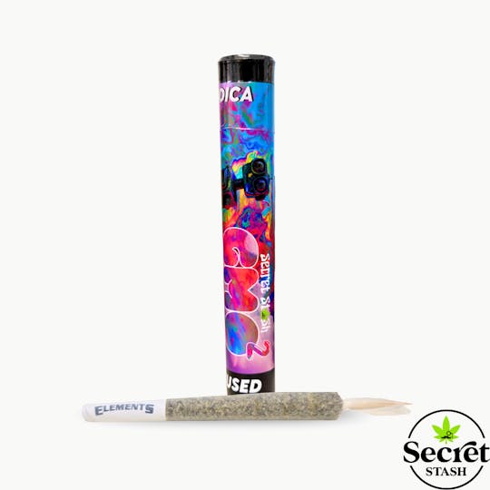 Secret Stash - Secret Stash | Infused Donut Pre Roll | GMO x GMO | 1.2g - 1