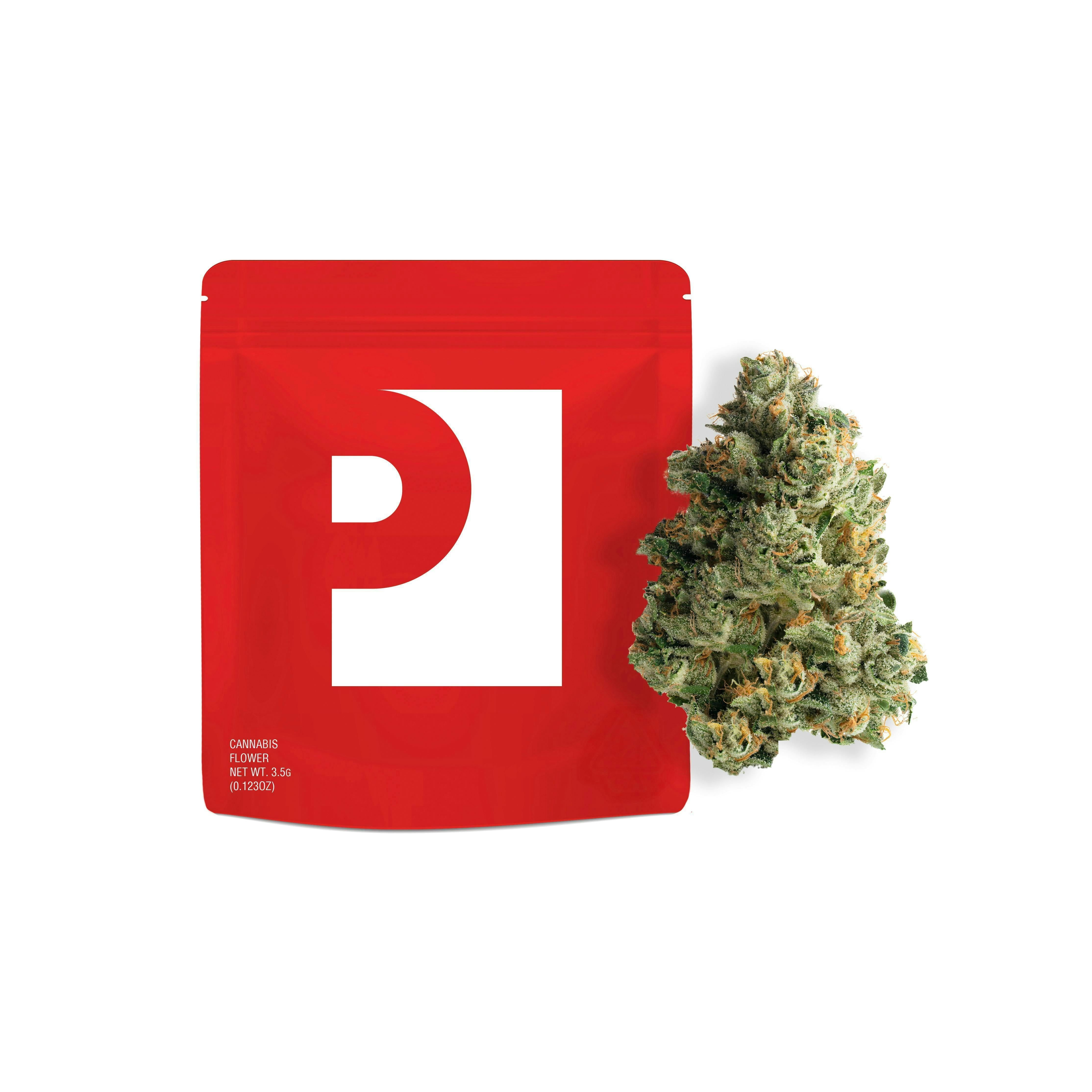 Preferred Gardens - Preferred Gardens | Orange Crush | Big Buds - 1