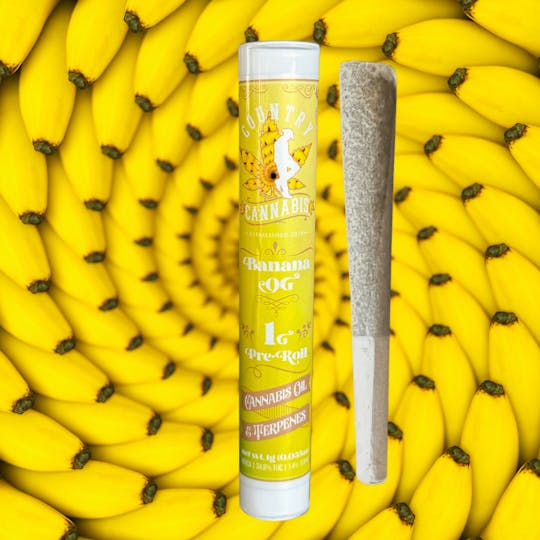 Country Cannabis - Banana OG | Infused Pre-Roll | 1G - 1
