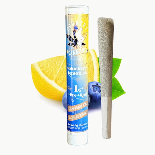 Country Cannabis - Blueberry Lemonade | Infused Pre-Roll | 1G - 1