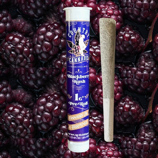 Country Cannabis - Blackberry Kush | Infused Pre-Roll | 1G - 1