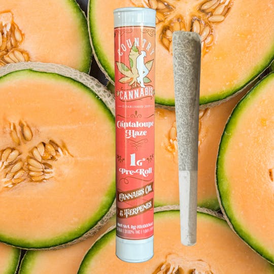 Country Cannabis - Cantaloupe Haze | Infused Pre-Roll | 1G - 1