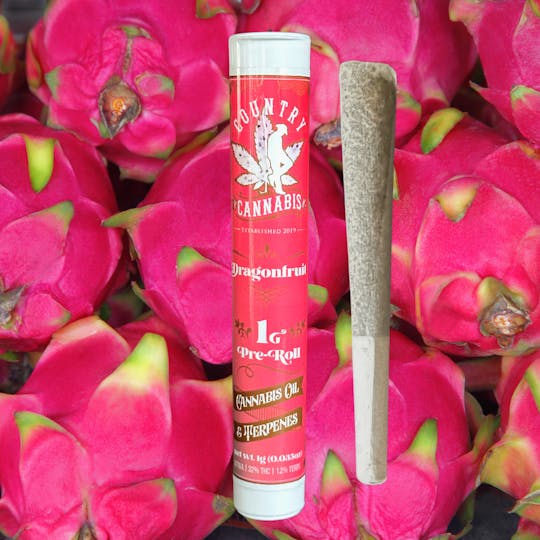 Country Cannabis - Dragon Fruit | Infused Pre-Roll | 1G - 1