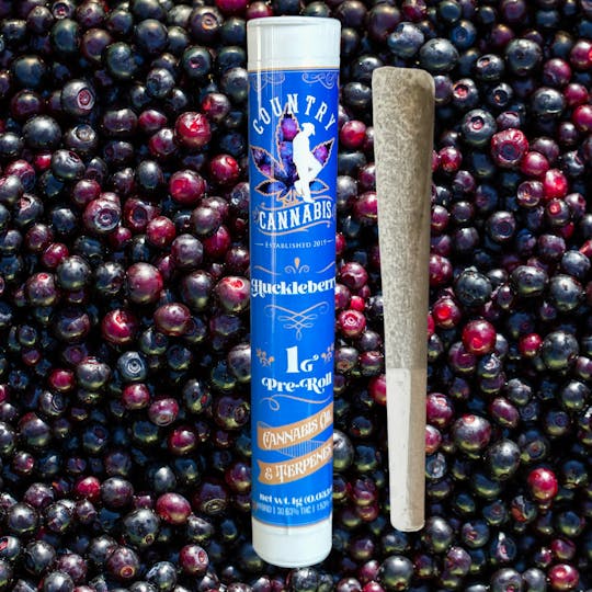 Country Cannabis - Huckleberry | Infused Pre-Roll | 1G - 1