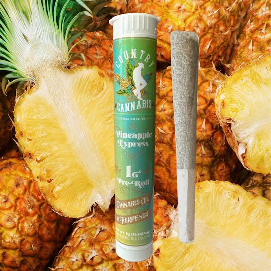 Country Cannabis - Pineapple Express | Infused Pre-Roll | 1G - 1