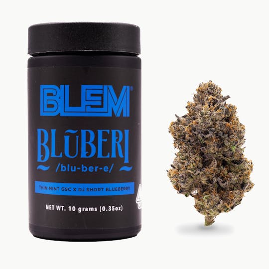 BLEM - BLEM BLUBERI 10g - 1