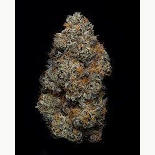 Auraz - Truffle Cookies | Premium Flower - 1