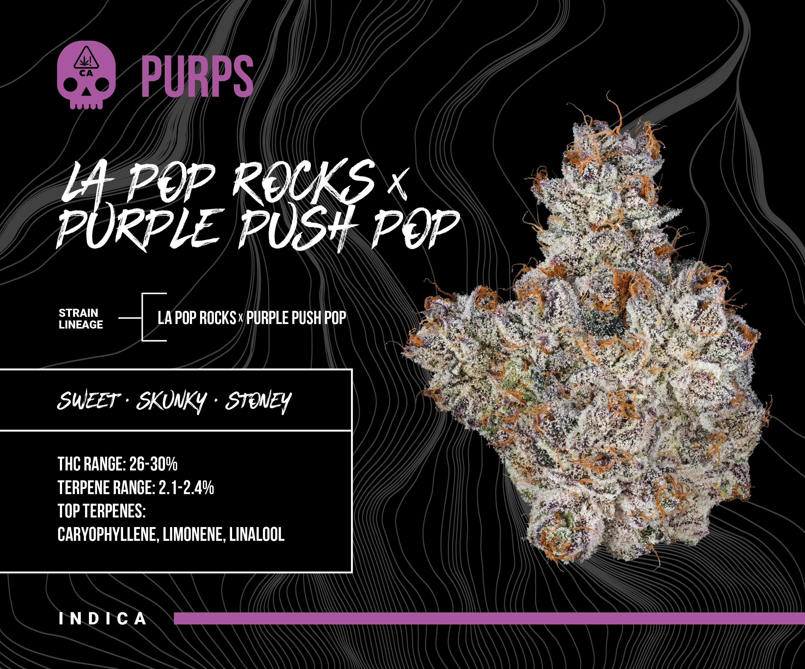 Bosky Genetics - BOSKY | LA Pop Rocks x Purple Push Pop | Big Buds | 14g - 1