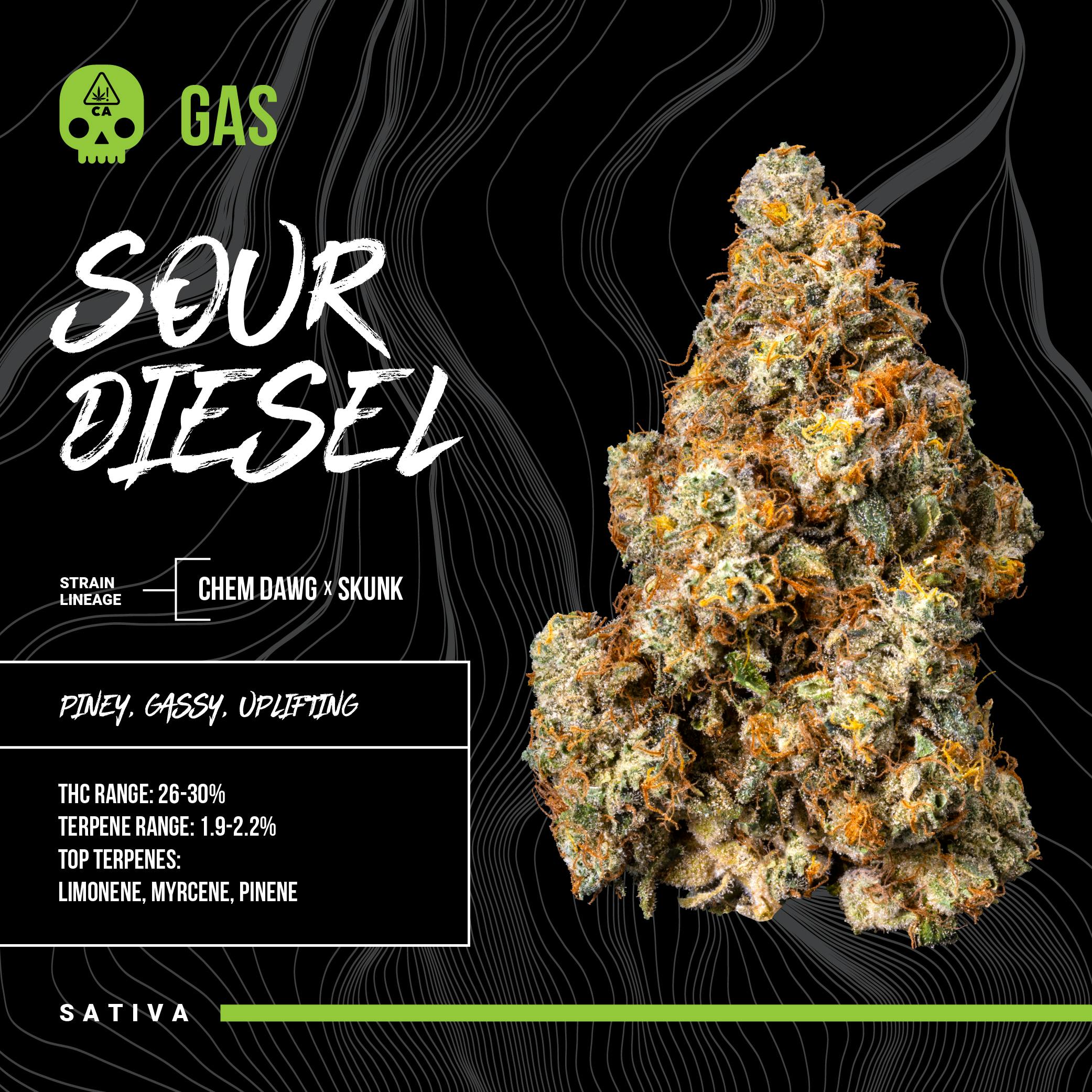 Bosky Genetics - BOSKY | Sour Diesel | Big Buds | 14g - 1