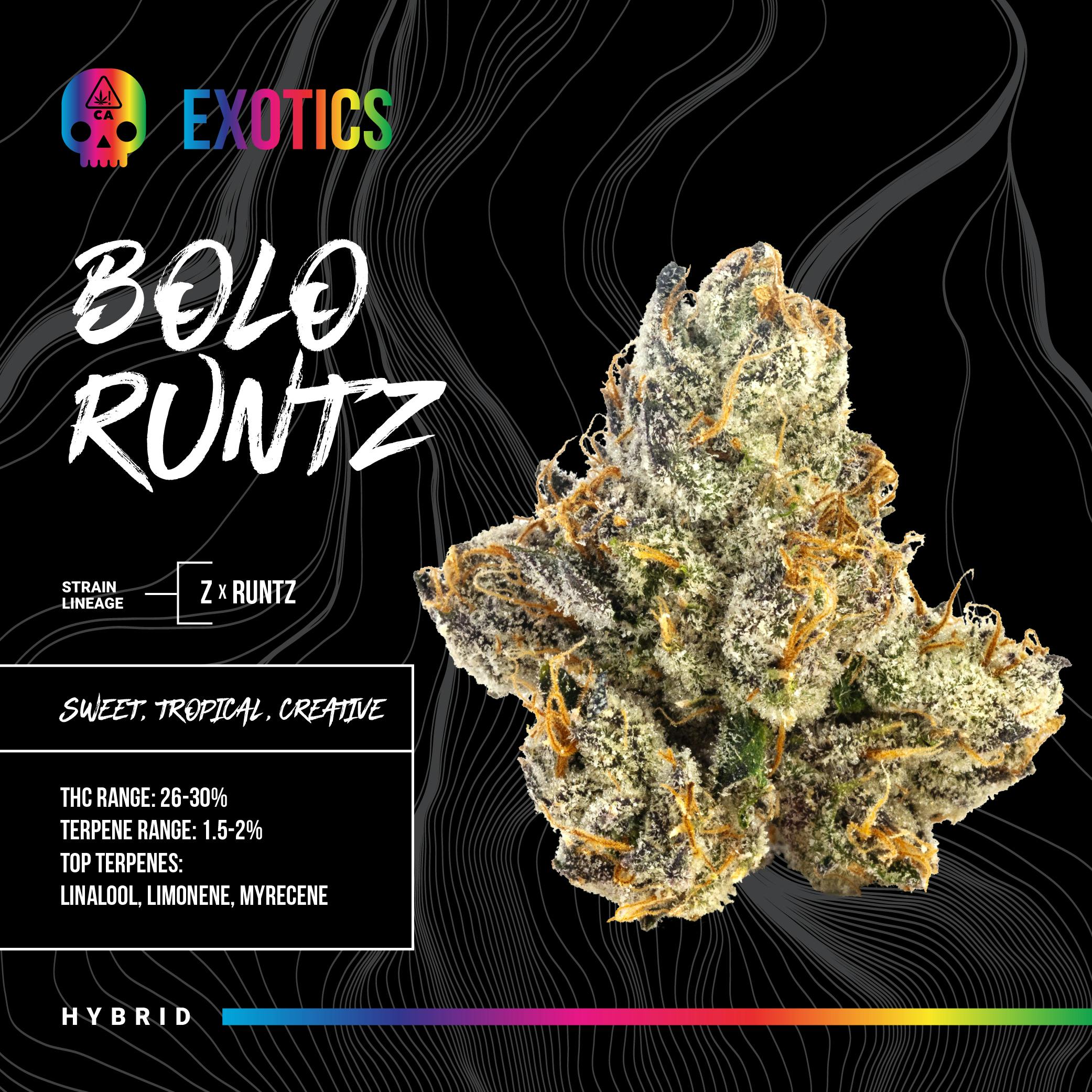 Bosky Genetics - BOSKY | Bolo Runtz | Big Buds | 14g - 1