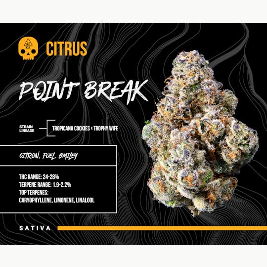 Bosky Genetics - BOSKY - Point Break (14G SMALL BUDS) - 1