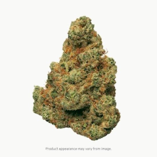 Seed & Smith Cannabis - Flower Pound - Orange Creamsicle - 1