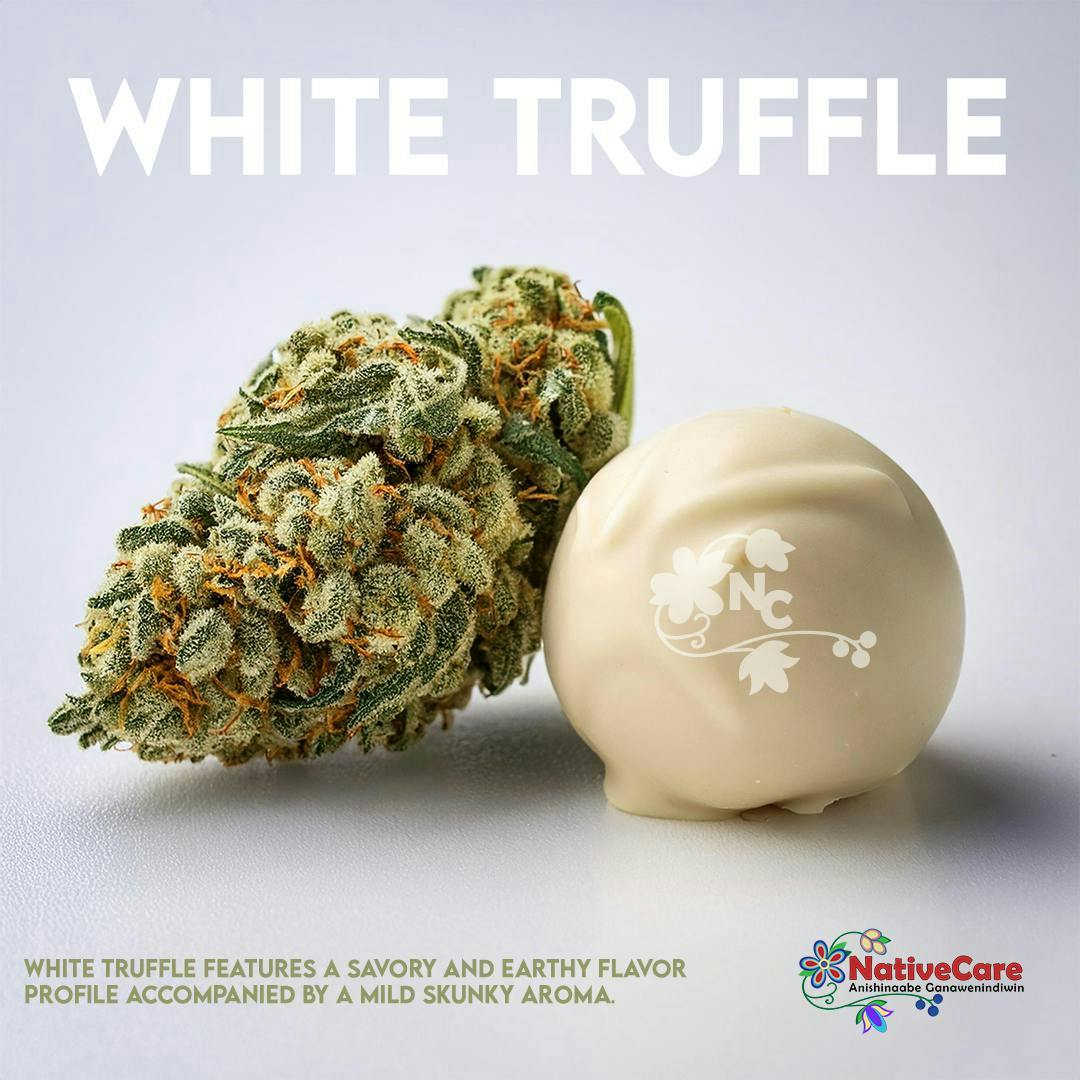 NativeCare Brand - White Truffle | Big Buds | 14g - 1