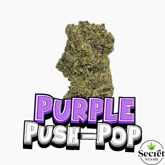 Secret Stash - Secret Stash | Flower | Purple Push Pop | G - 1