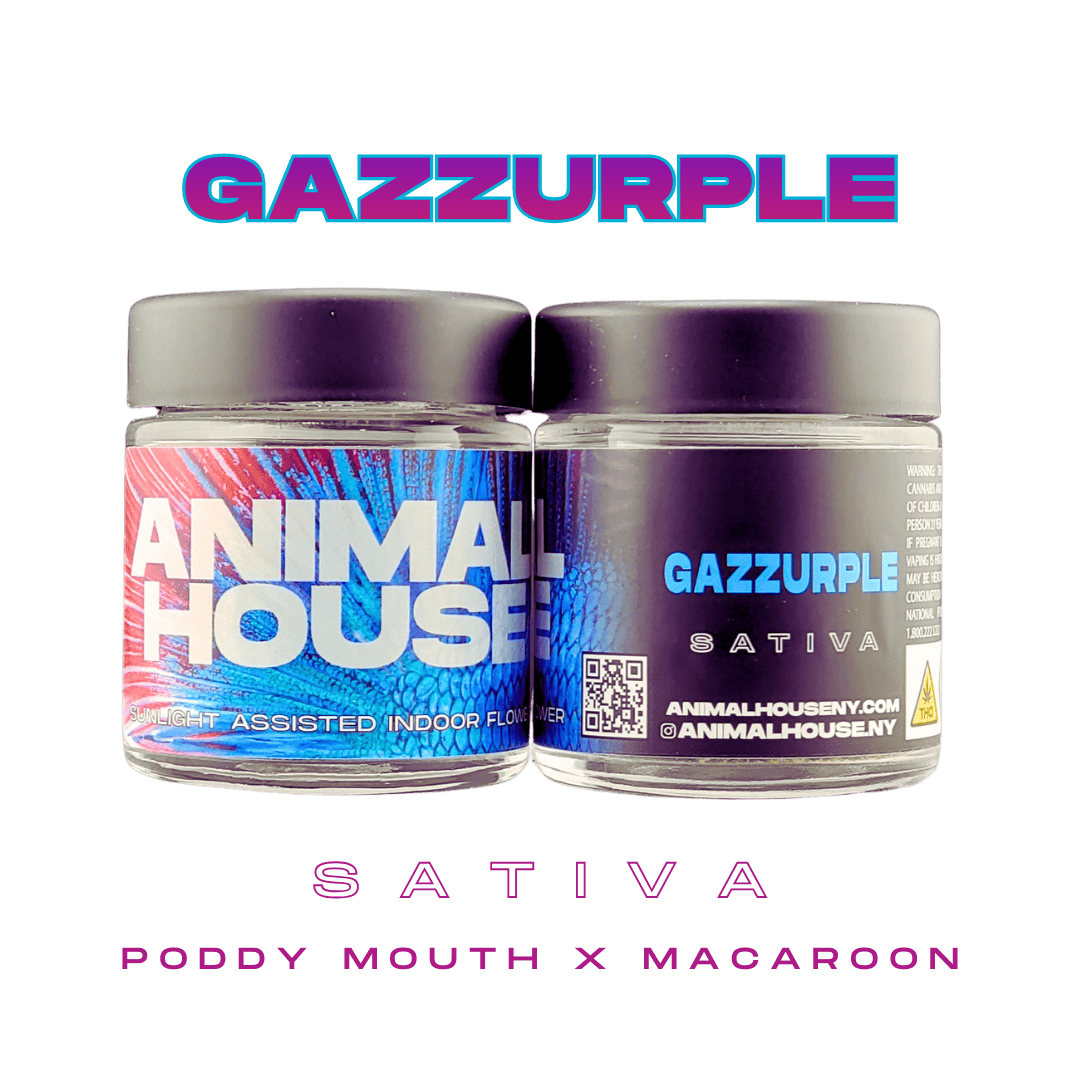 Animal House - Animal House | Gazzurple | Big Buds | 3.5g - 1